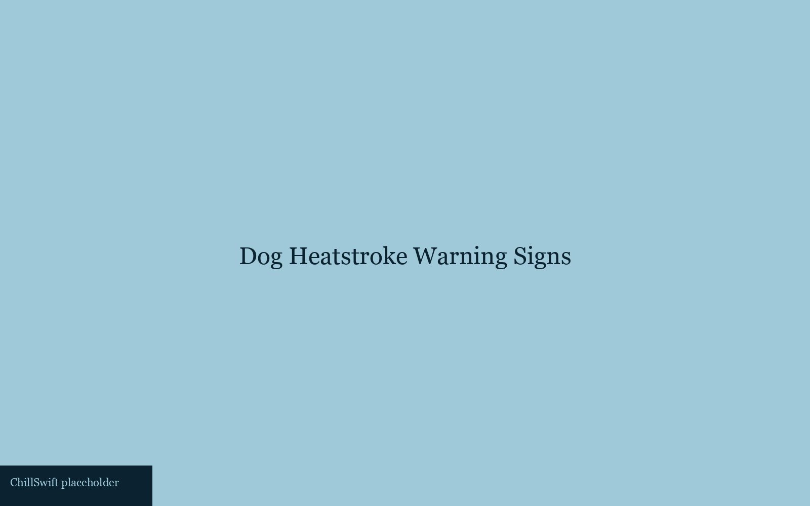 Vet examining a panting Labrador wearing a cooling collar
